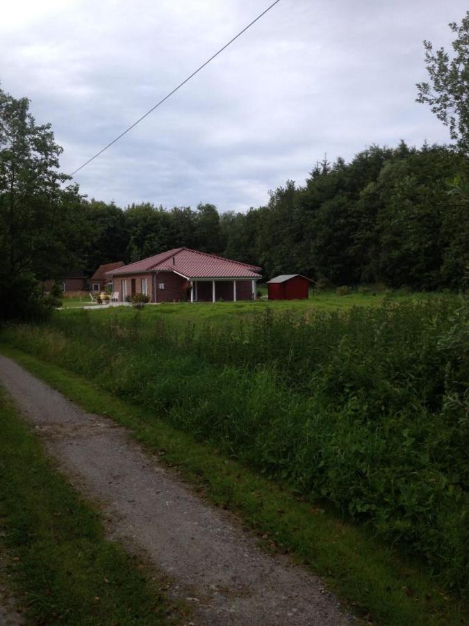 Ferienhaus Am Paradies Neuschoo Экстерьер фото